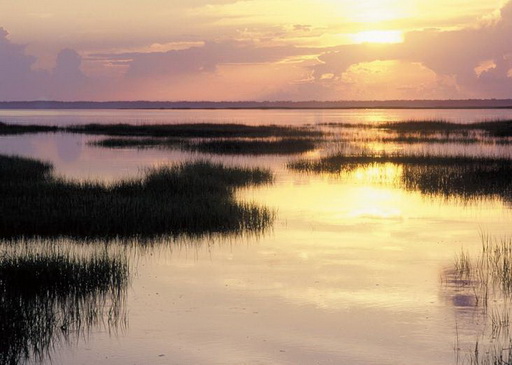 Полая вода